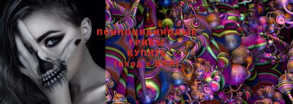 ГАЛЛЮЦИНОГЕННЫЕ ГРИБЫ Богородск