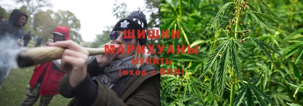 мескалин Богданович